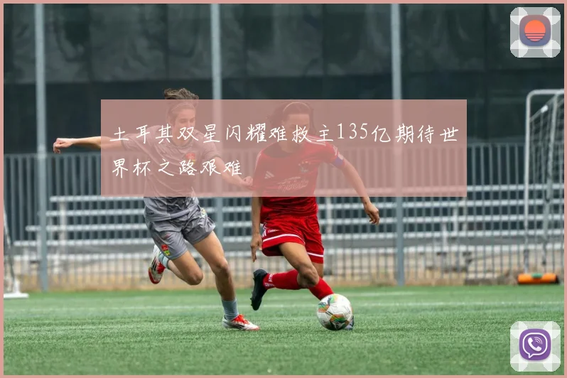 土耳其双星闪耀难救主135亿期待世界杯之路艰难