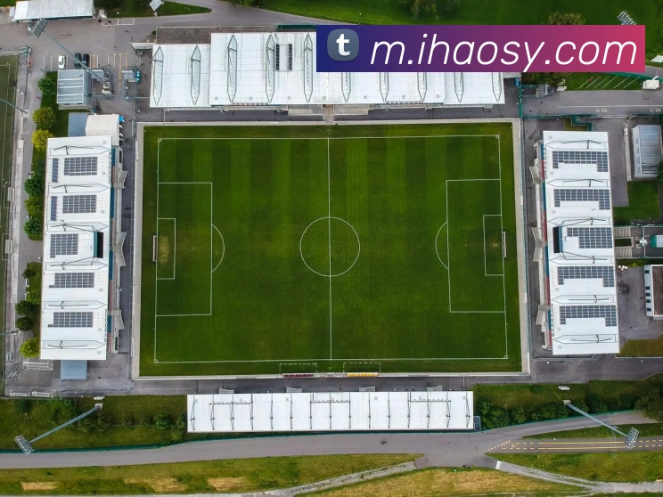 App Interface Preview